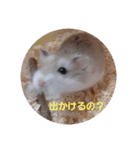 ハムスター・デグーの日常（個別スタンプ：12）