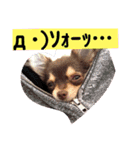 結ちゃん。3（個別スタンプ：4）