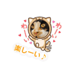 ♪こけニャンスタンプ♪（個別スタンプ：13）
