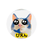 ♪こけニャンスタンプ♪（個別スタンプ：27）