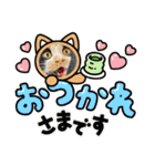 ♪こけニャンスタンプ♪（個別スタンプ：35）