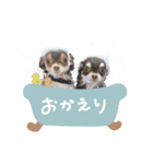 ♡ここあちゃん＆テディちゃん（個別スタンプ：2）