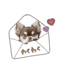 ♡ここあちゃん＆テディちゃん（個別スタンプ：4）