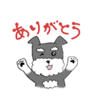 ミニチュアシュナウザーのロコノです。（個別スタンプ：13）