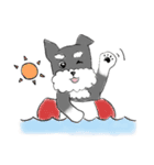 ミニチュアシュナウザーのロコノです。（個別スタンプ：34）