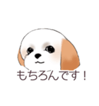 Stickers_Shih Tzu_c シーズースタンプ（個別スタンプ：1）