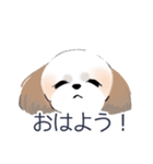 Stickers_Shih Tzu_c シーズースタンプ（個別スタンプ：4）