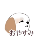 Stickers_Shih Tzu_c シーズースタンプ（個別スタンプ：8）