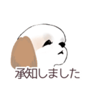 Stickers_Shih Tzu_c シーズースタンプ（個別スタンプ：9）