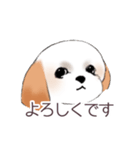 Stickers_Shih Tzu_c シーズースタンプ（個別スタンプ：10）