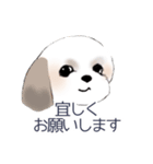 Stickers_Shih Tzu_c シーズースタンプ（個別スタンプ：14）