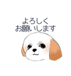 Stickers_Shih Tzu_c シーズースタンプ（個別スタンプ：15）