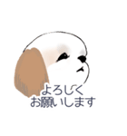 Stickers_Shih Tzu_c シーズースタンプ（個別スタンプ：18）