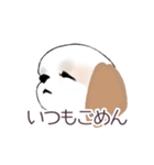 Stickers_Shih Tzu_c シーズースタンプ（個別スタンプ：20）