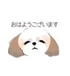 Stickers_Shih Tzu_c シーズースタンプ（個別スタンプ：21）