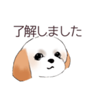 Stickers_Shih Tzu_c シーズースタンプ（個別スタンプ：24）