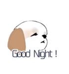 Stickers_Shih Tzu_c シーズースタンプ（個別スタンプ：25）