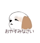 Stickers_Shih Tzu_c シーズースタンプ（個別スタンプ：26）