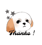 Stickers_Shih Tzu_c シーズースタンプ（個別スタンプ：32）