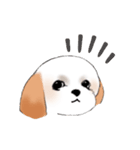 Stickers_Shih Tzu_c シーズースタンプ（個別スタンプ：33）