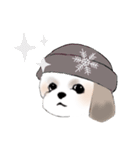 Stickers_Shih Tzu_c シーズースタンプ（個別スタンプ：37）