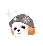 Stickers_Shih Tzu_c シーズースタンプ（個別スタンプ：40）