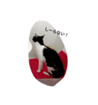 CAT RUU3（個別スタンプ：8）