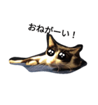 猫のるうちゃん4（個別スタンプ：2）