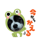 陸くん＆空くん一家と友達3（個別スタンプ：6）