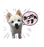 陸くん＆空くん一家と友達3（個別スタンプ：12）