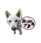 陸くん＆空くん一家と友達3（個別スタンプ：14）