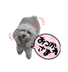 陸くん＆空くん一家と友達3（個別スタンプ：17）