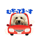 陸くん＆空くん一家と友達3（個別スタンプ：19）