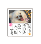 陸くん＆空くん一家と友達3（個別スタンプ：23）