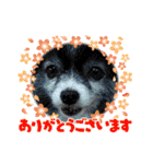 陸くん＆空くん一家と友達3（個別スタンプ：24）