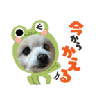 陸くん＆空くん一家と友達3（個別スタンプ：25）