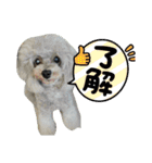 陸くん＆空くん一家と友達3（個別スタンプ：33）