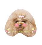 来音の看板犬・ひなののスタンプ②（個別スタンプ：6）