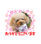 来音の看板犬・ひなののスタンプ②（個別スタンプ：7）