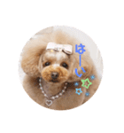 来音の看板犬・ひなののスタンプ②（個別スタンプ：8）
