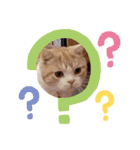 モモノスケです④（個別スタンプ：7）