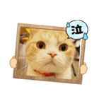 モモノスケです④（個別スタンプ：13）