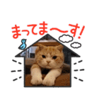 モモノスケです④（個別スタンプ：14）