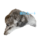 トイプのひと言（個別スタンプ：4）