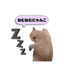 わたくんのスタンプやさん2（個別スタンプ：4）