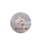 わたくんのスタンプやさん2（個別スタンプ：10）