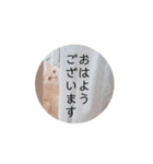 わたくんのスタンプやさん2（個別スタンプ：23）