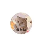 わたくんのスタンプやさん2（個別スタンプ：28）