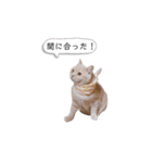 わたくんのスタンプやさん2（個別スタンプ：32）