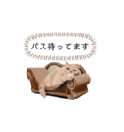 わたくんのスタンプやさん2（個別スタンプ：35）